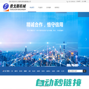 FERGUSON费戈斯机械